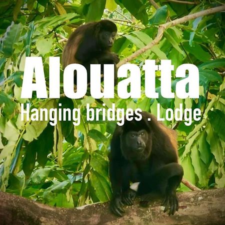 Alouatta Lodge And Canopy Cahuita Exteriér fotografie