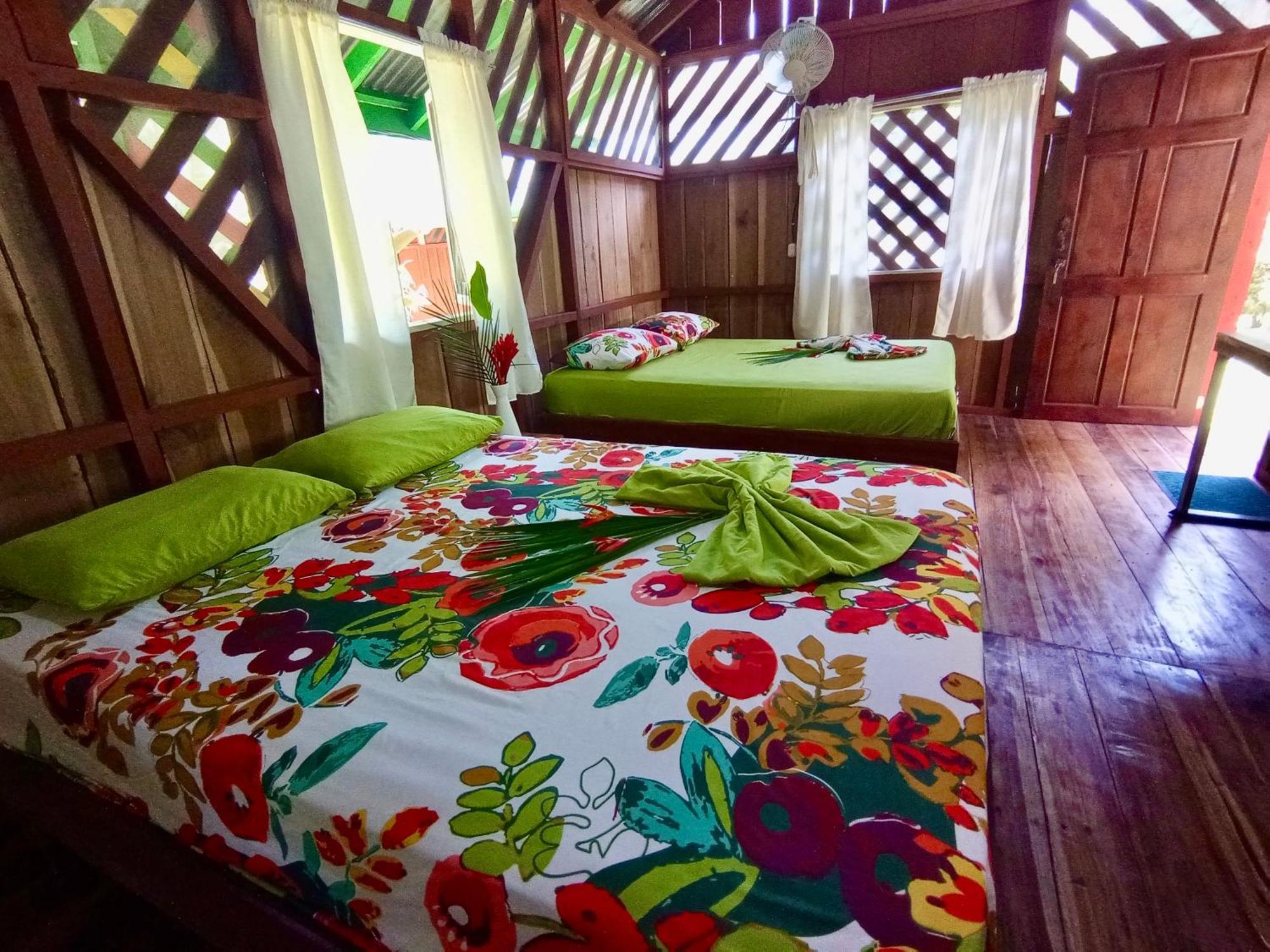 Alouatta Lodge And Canopy Cahuita Exteriér fotografie