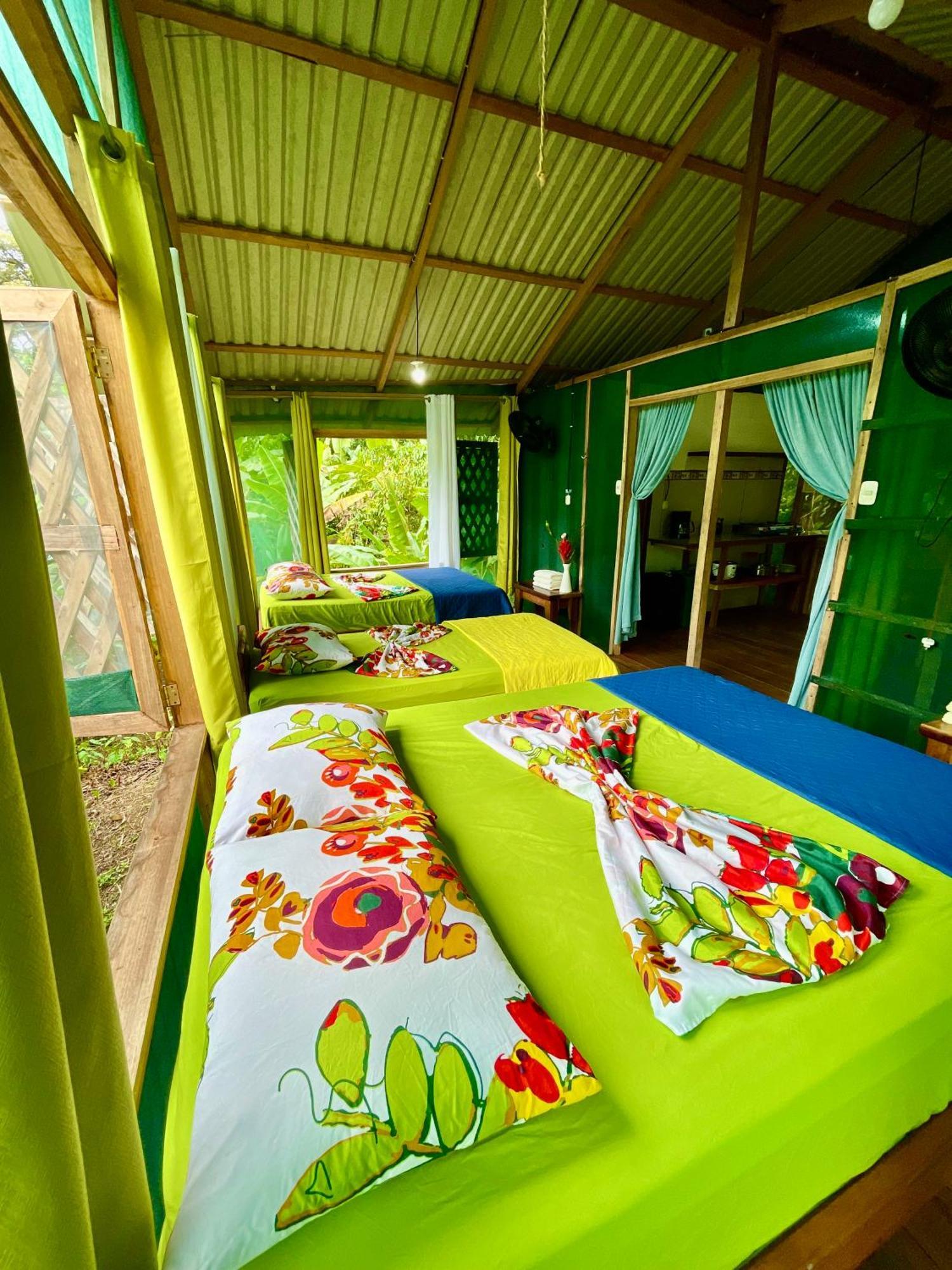 Alouatta Lodge And Canopy Cahuita Exteriér fotografie