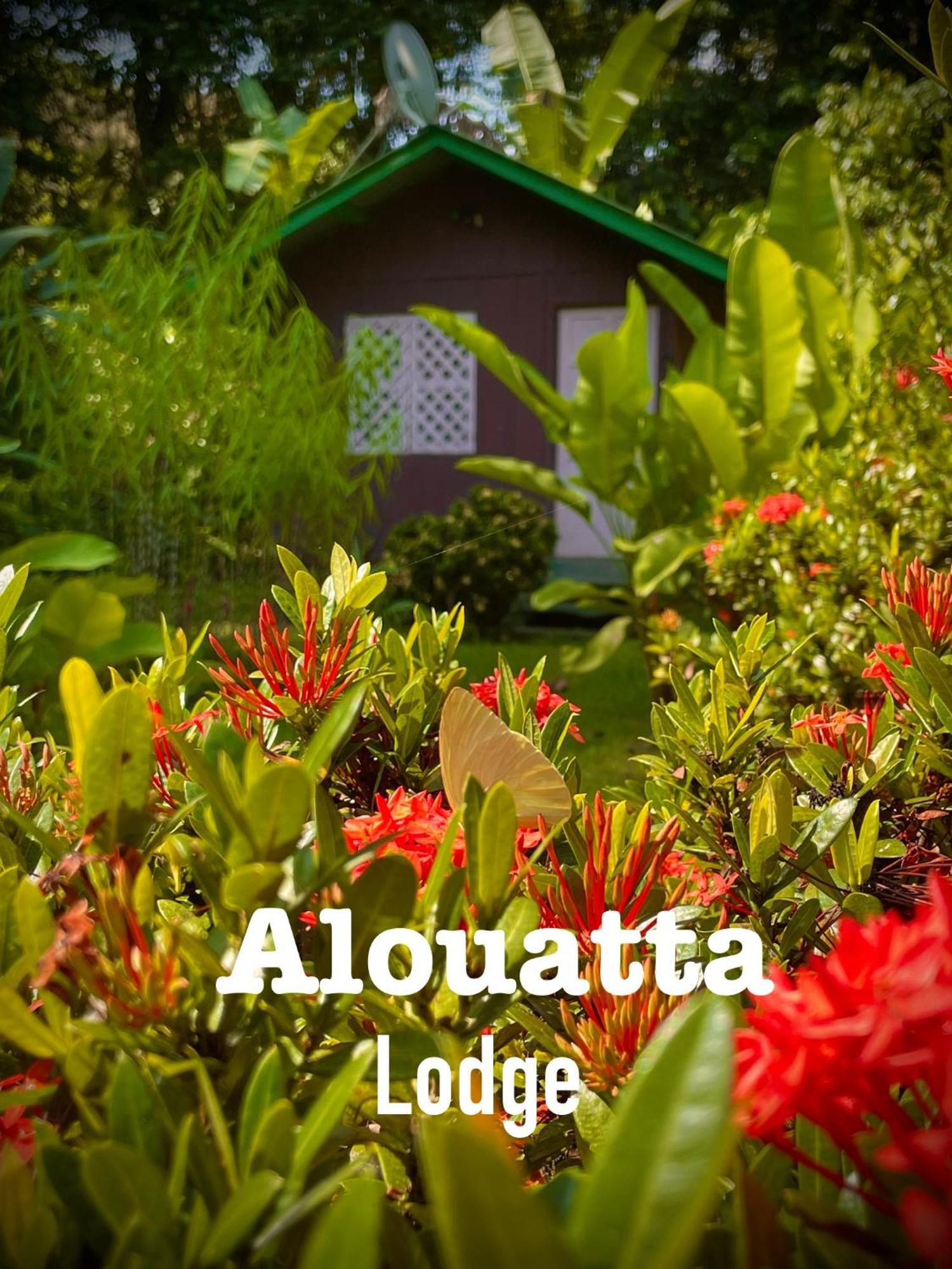 Alouatta Lodge And Canopy Cahuita Exteriér fotografie