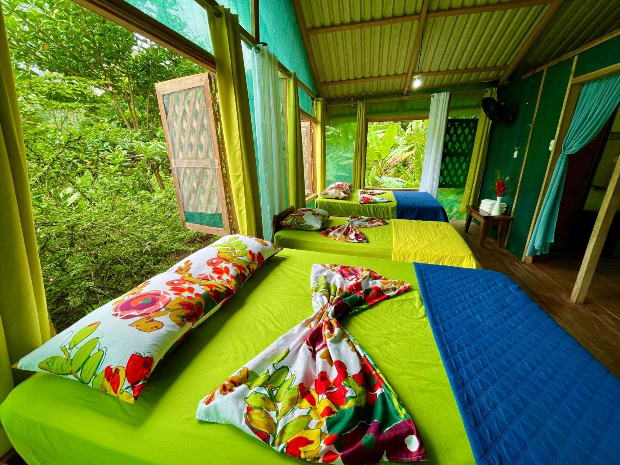 Alouatta Lodge And Canopy Cahuita Exteriér fotografie
