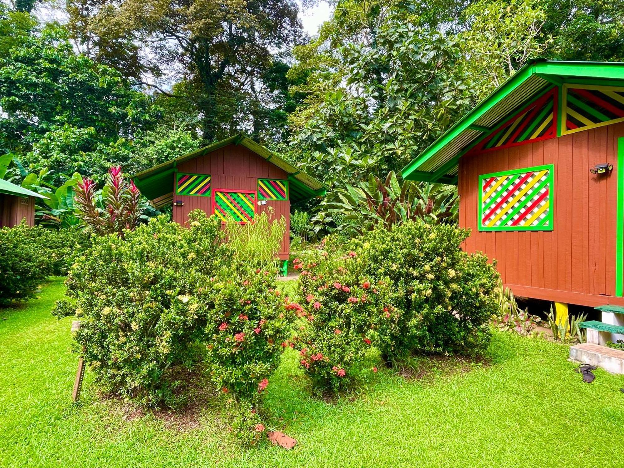 Alouatta Lodge And Canopy Cahuita Exteriér fotografie