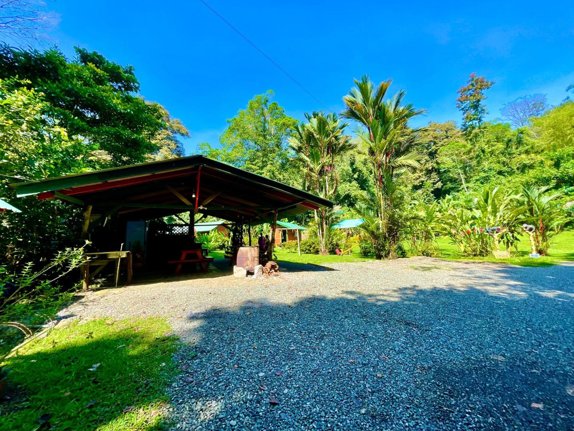 Alouatta Lodge And Canopy Cahuita Exteriér fotografie