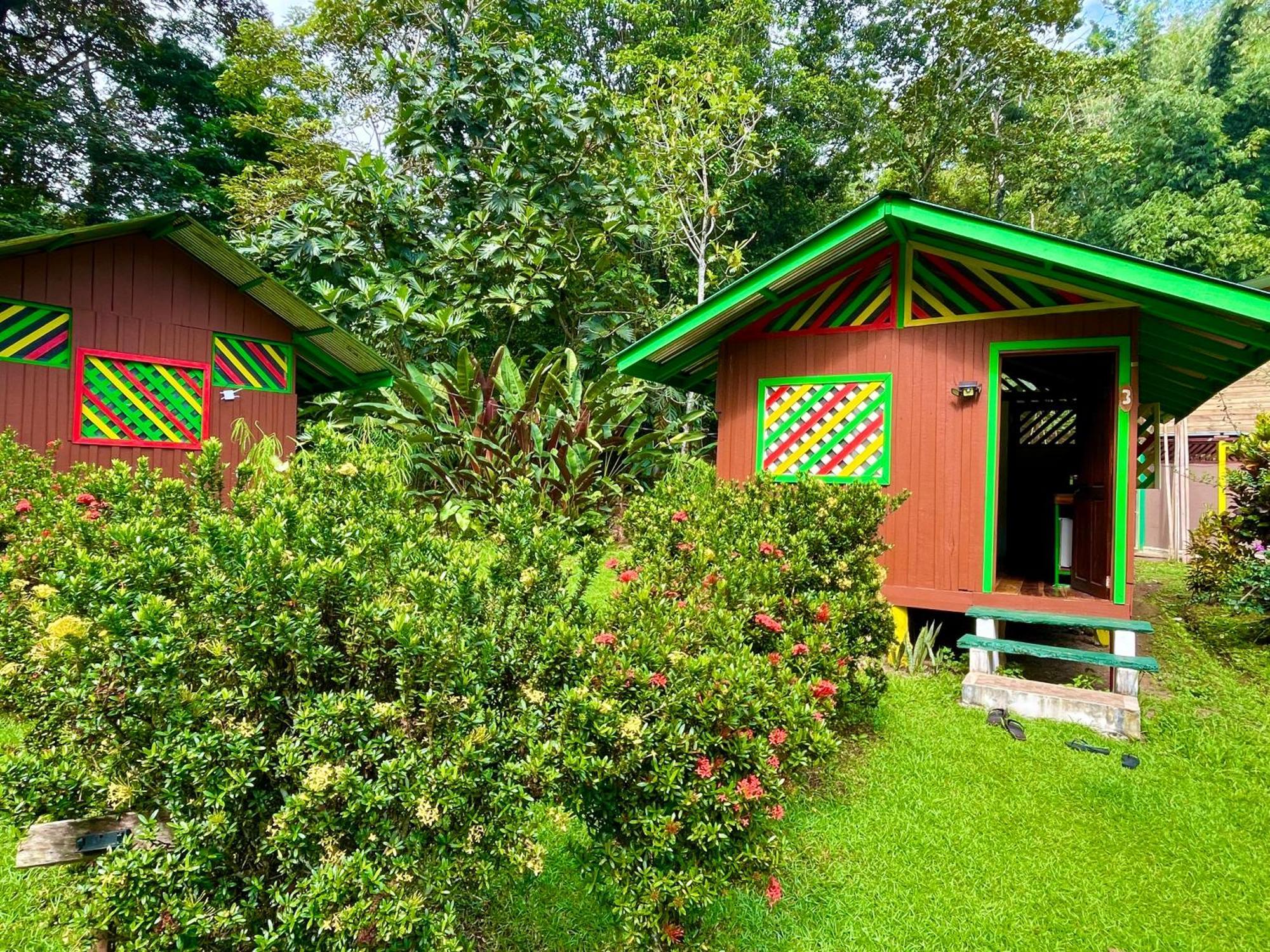 Alouatta Lodge And Canopy Cahuita Exteriér fotografie
