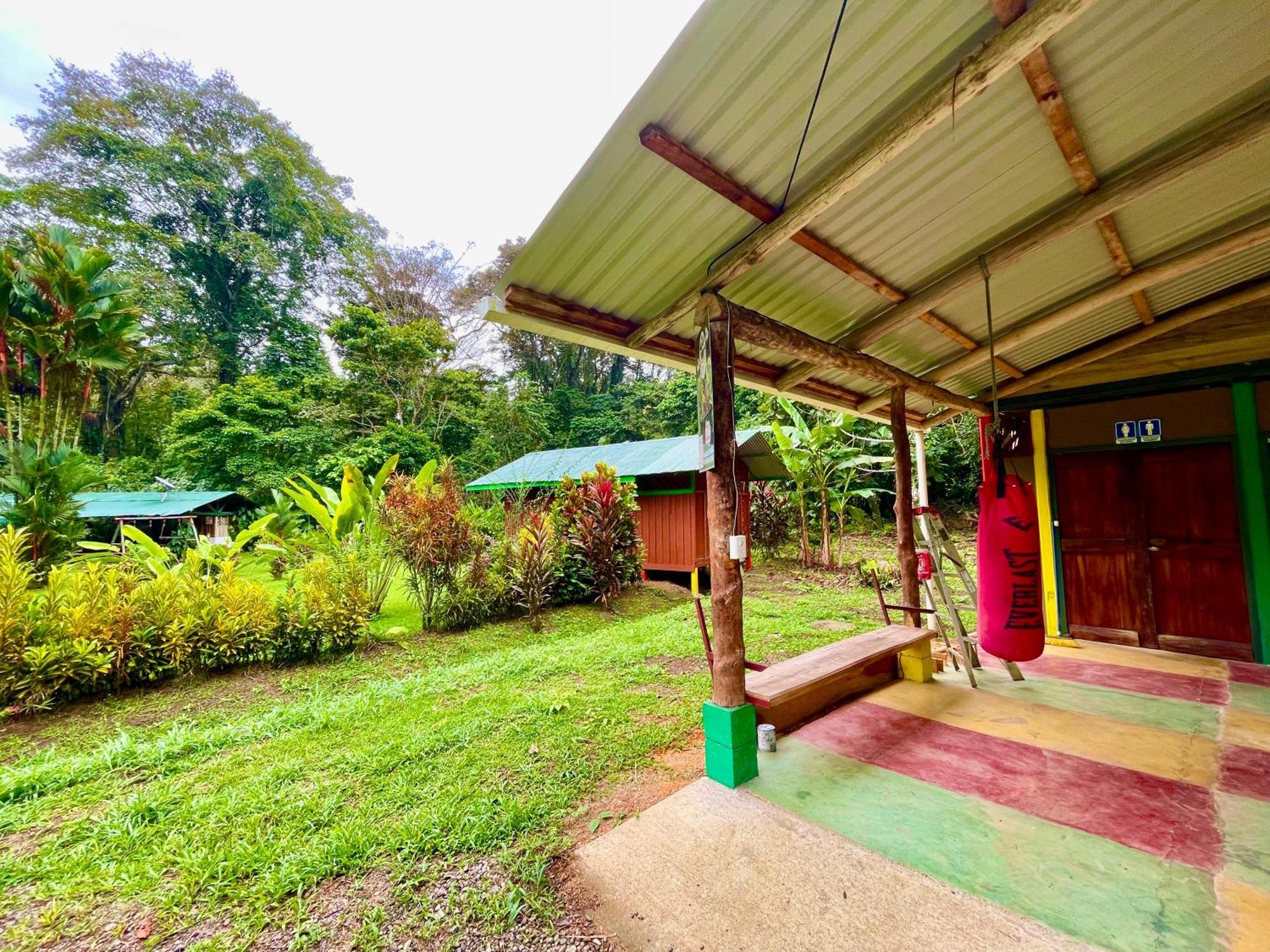 Alouatta Lodge And Canopy Cahuita Exteriér fotografie
