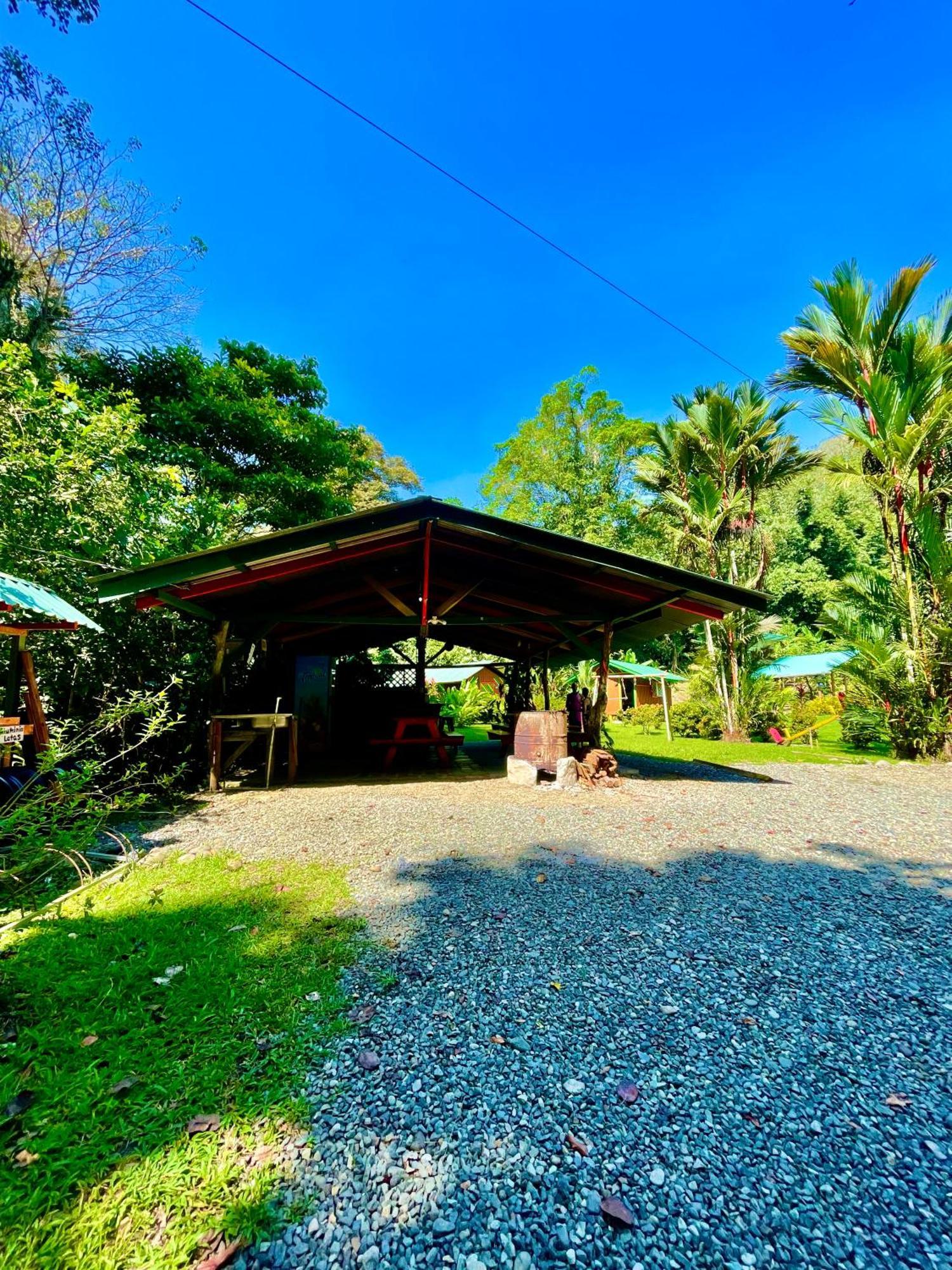 Alouatta Lodge And Canopy Cahuita Exteriér fotografie