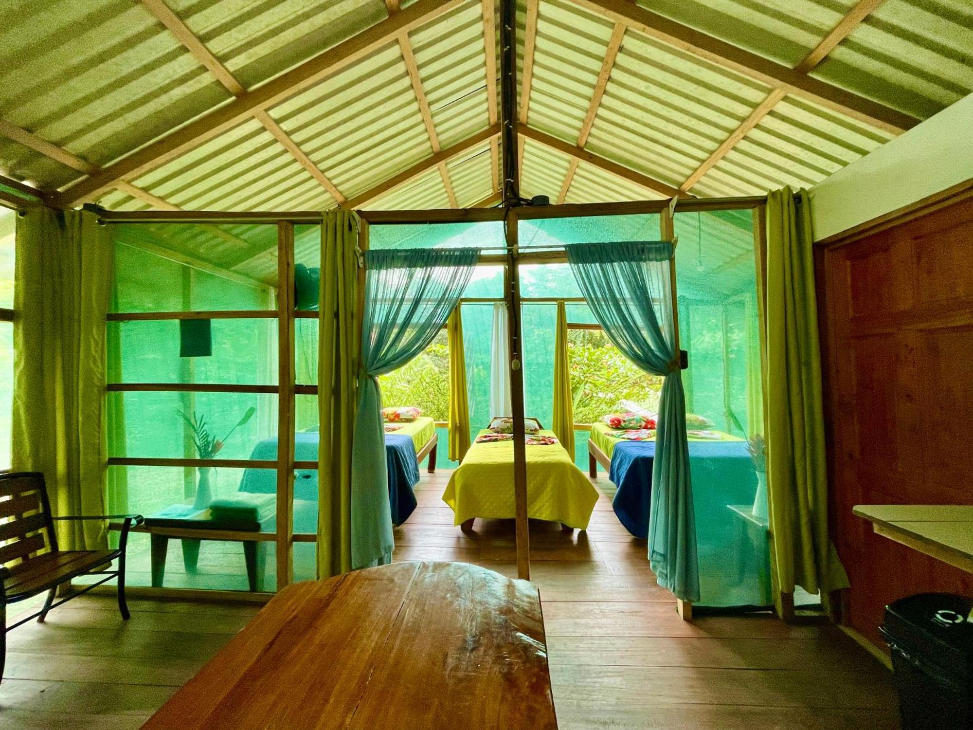 Alouatta Lodge And Canopy Cahuita Exteriér fotografie