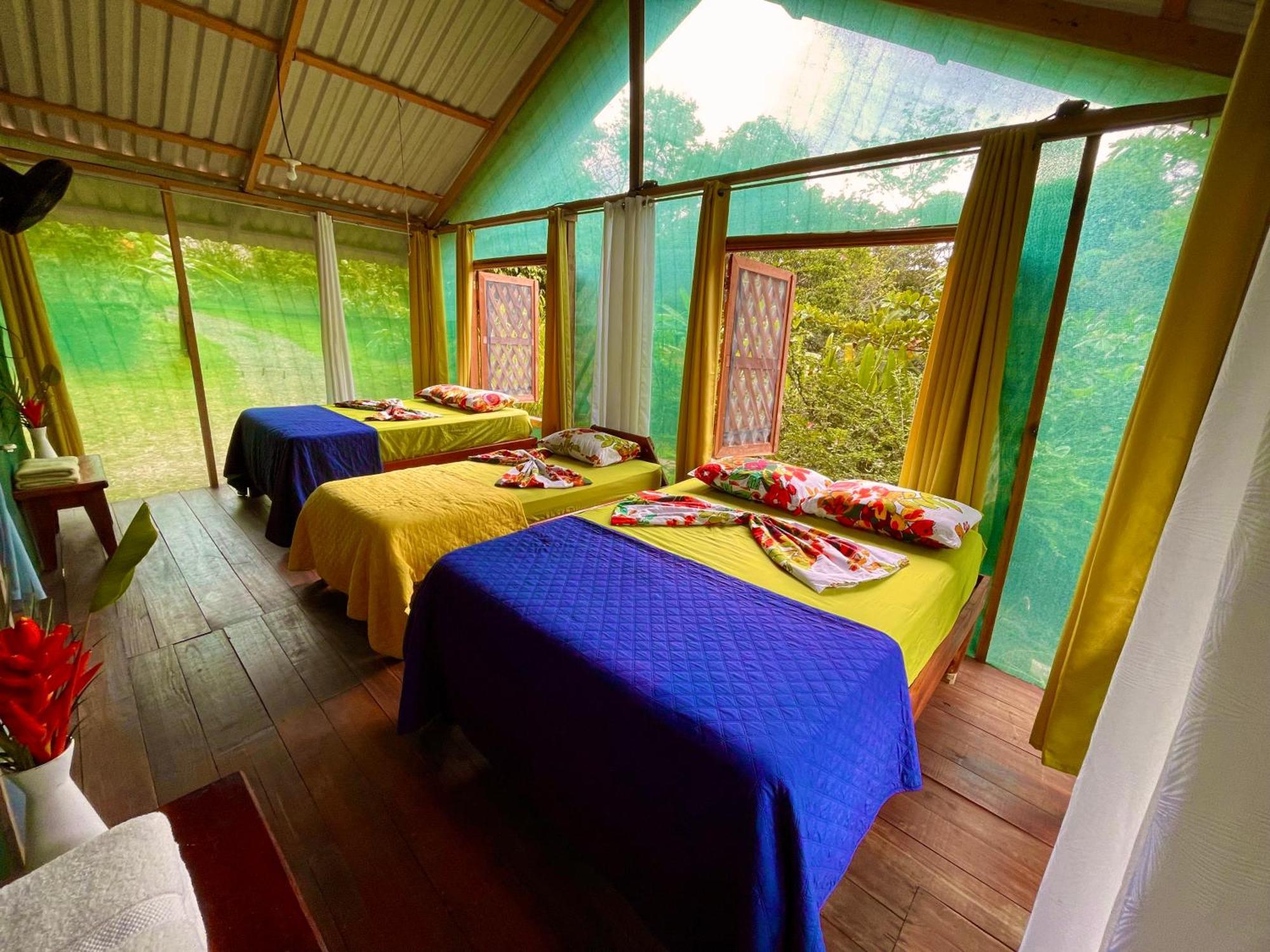Alouatta Lodge And Canopy Cahuita Exteriér fotografie
