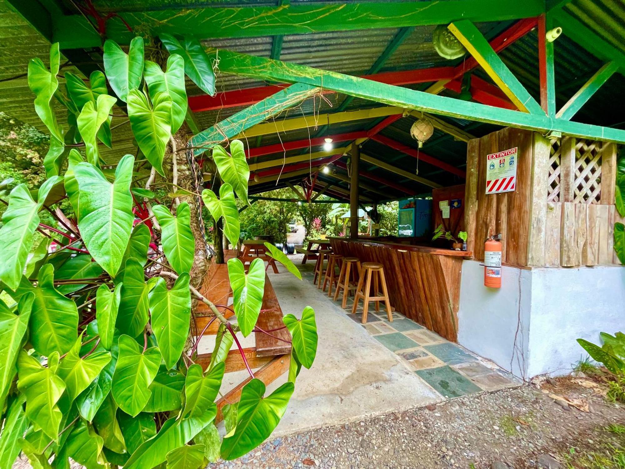 Alouatta Lodge And Canopy Cahuita Exteriér fotografie