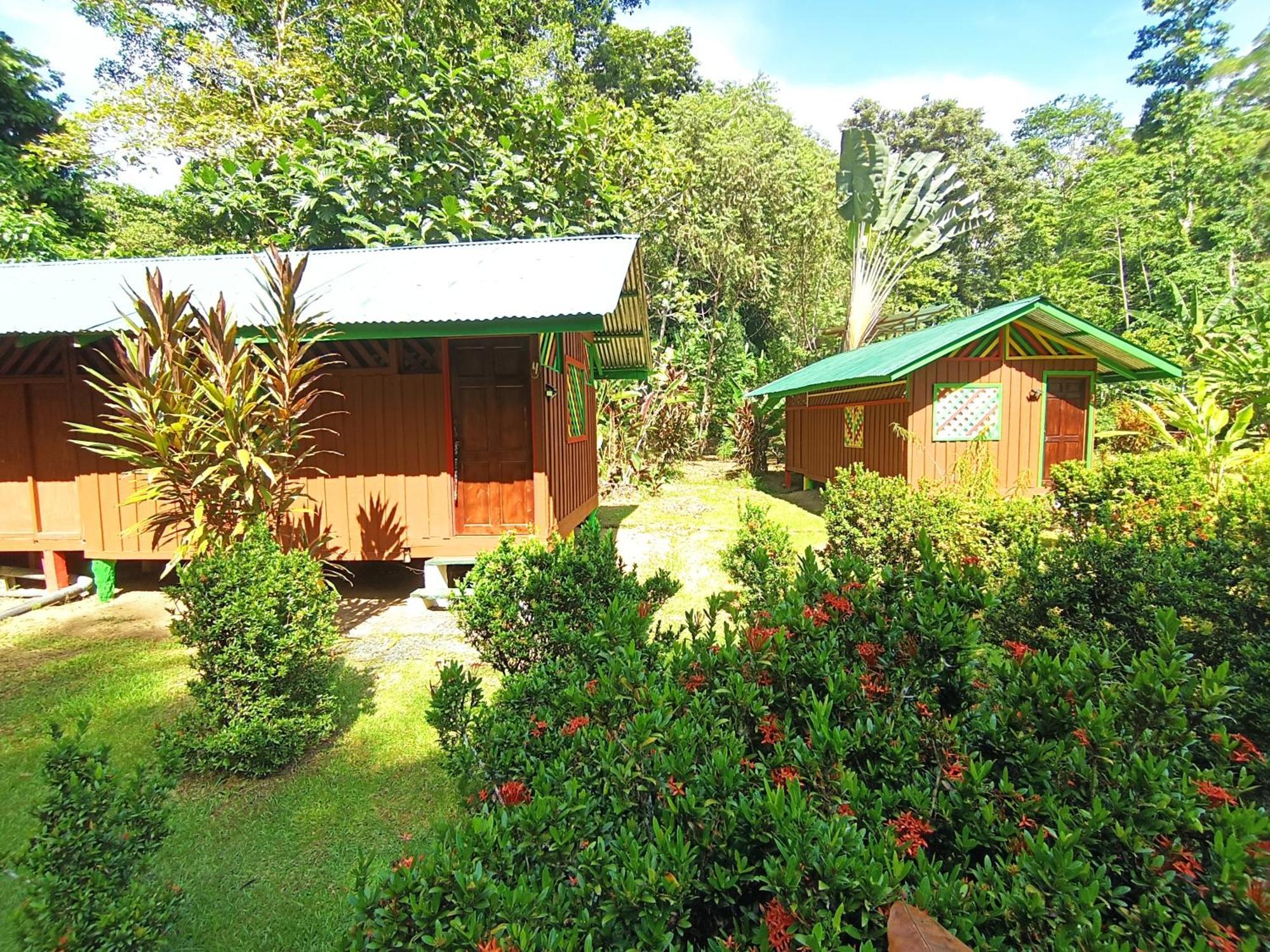 Alouatta Lodge And Canopy Cahuita Exteriér fotografie